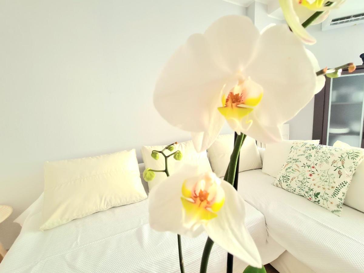 Aa Guest - El Mono De Torre Del Mar Eco Apartment Eksteriør billede
