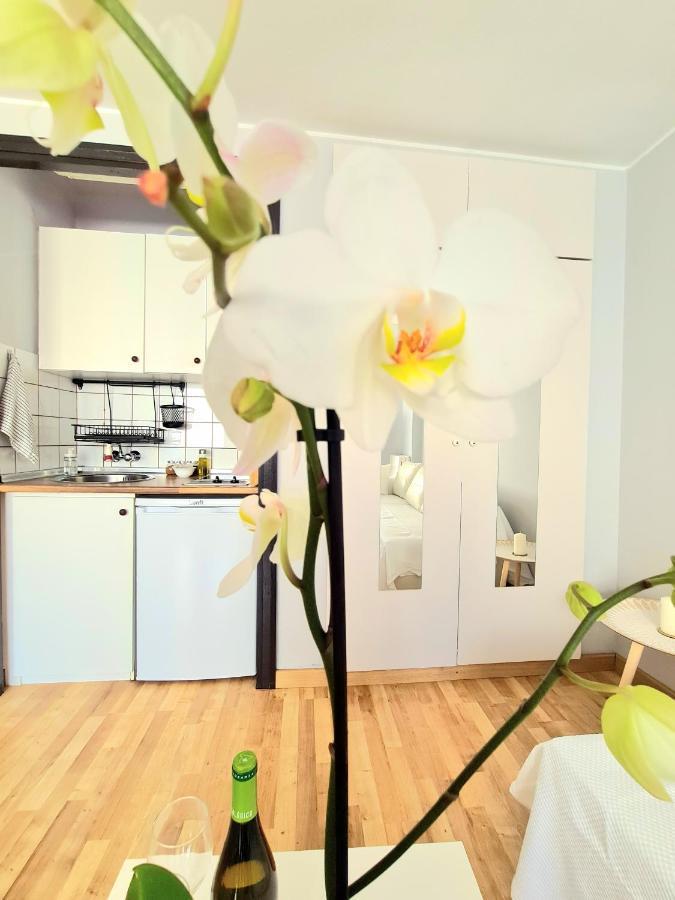 Aa Guest - El Mono De Torre Del Mar Eco Apartment Eksteriør billede