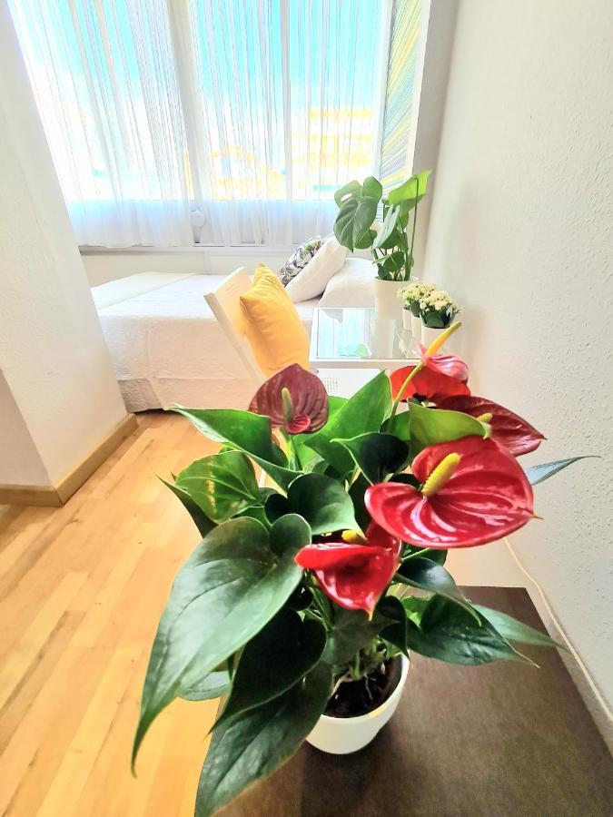 Aa Guest - El Mono De Torre Del Mar Eco Apartment Eksteriør billede